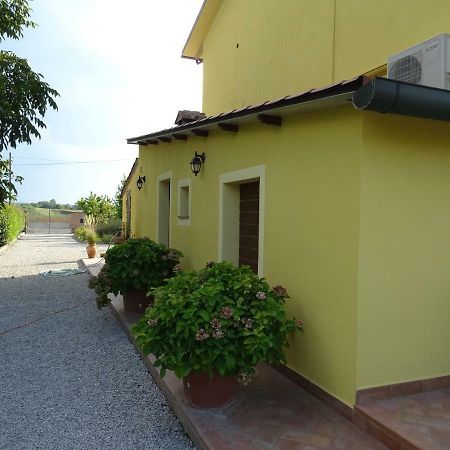 Appartamento Podere I Renai Santa Maria a Monte Extérieur photo